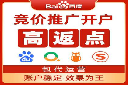 百度推广成功案例：打造行业领军品牌之路